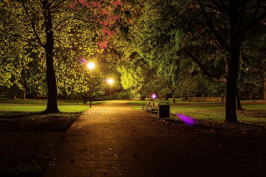 Menikmati Kesunyian untuk Suasana yang Lebih Nyaman